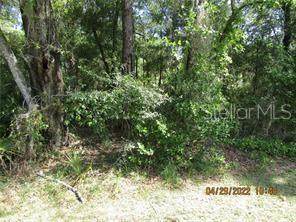 6716 Pavilion Loop - Photo 1
