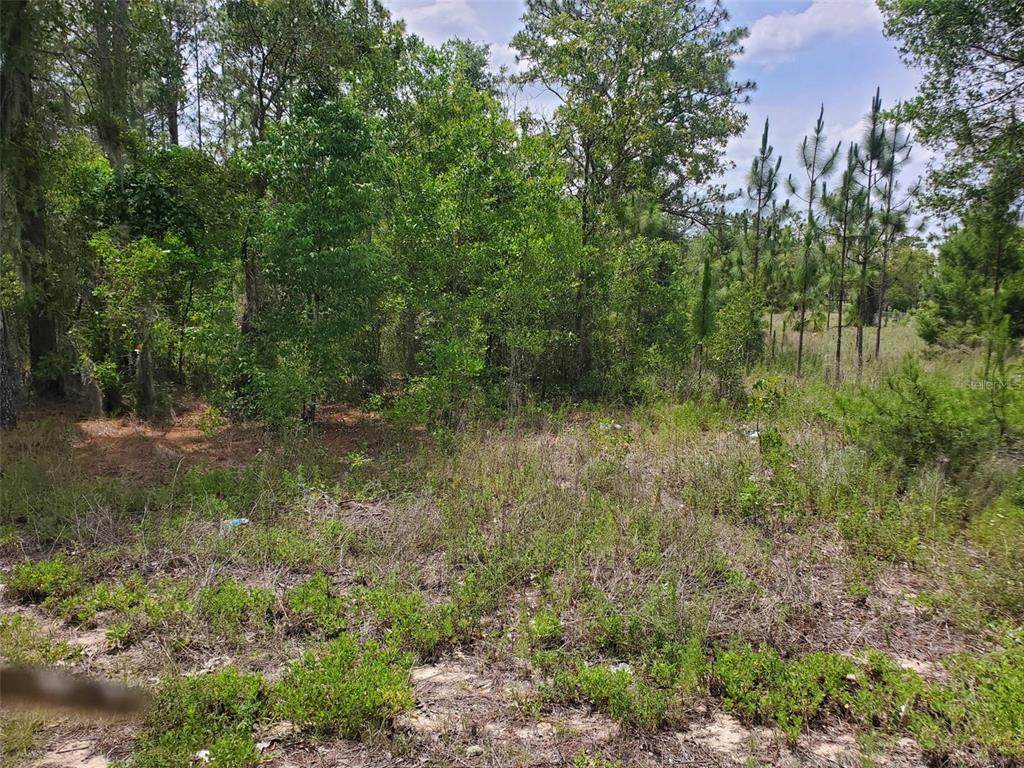 1611 State Road 121 - Photo 1