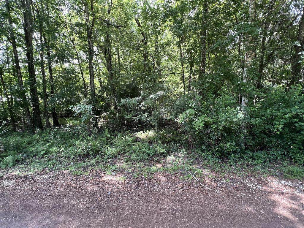 11628 Head Court - Photo 1