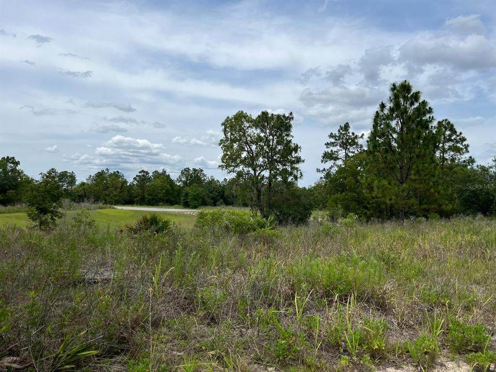 TBD 88TH Court - Photo 1