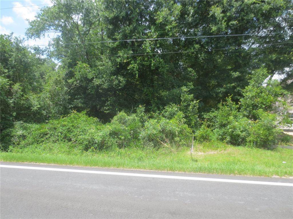 TBD 180TH AVE. Road - Photo 1