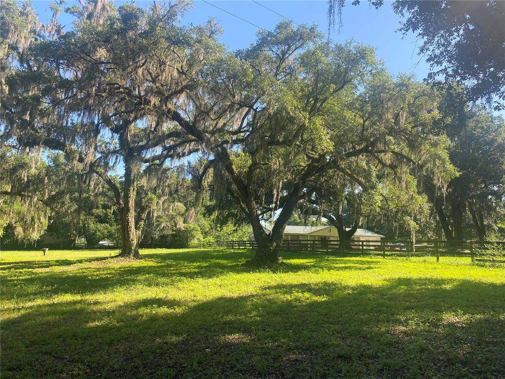8695 130TH Street - Photo 1