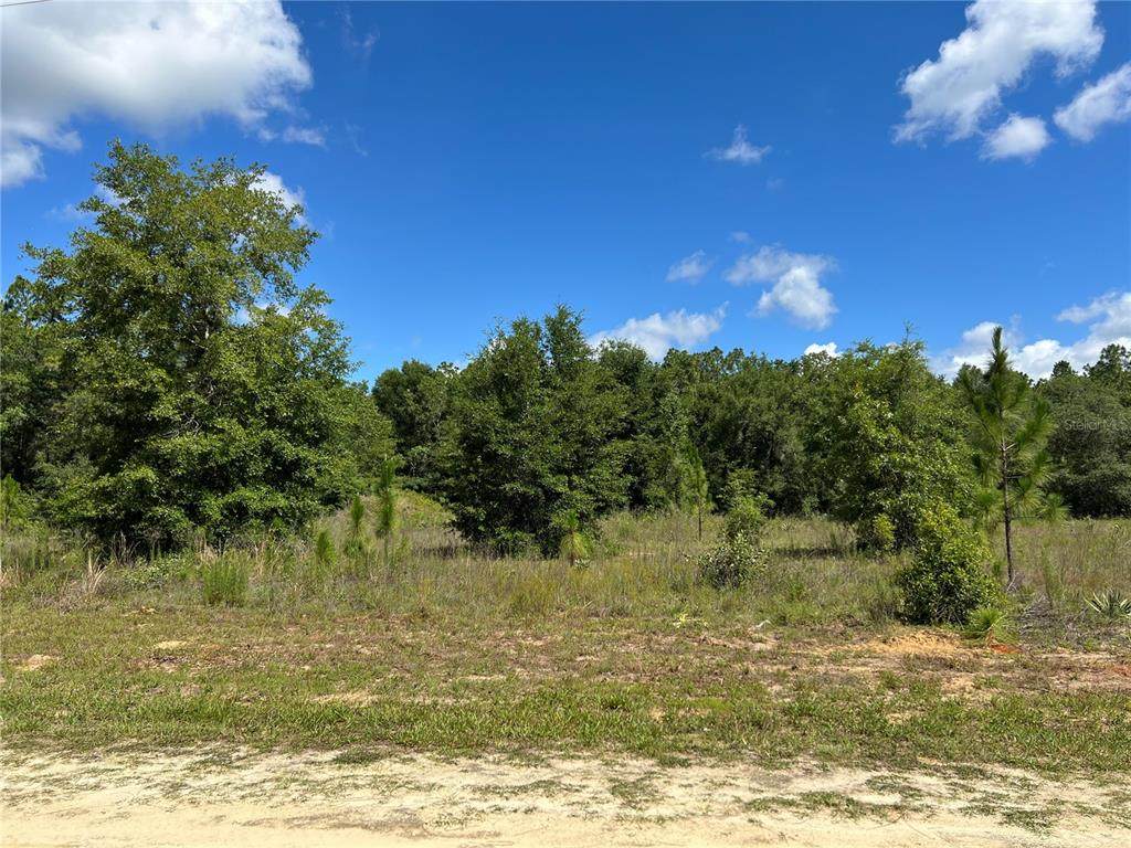 0 48 LANE Road - Photo 1