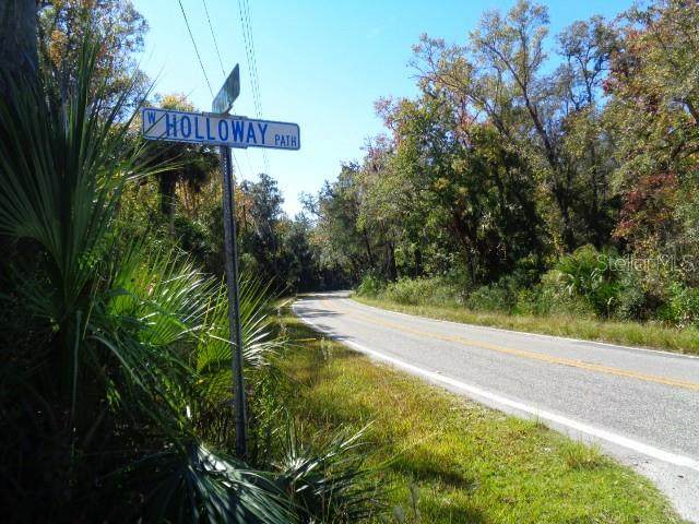 0 Ozello Trail - Photo 1