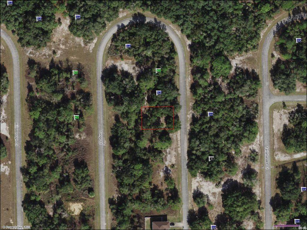 1310 Congo Court - Photo 1