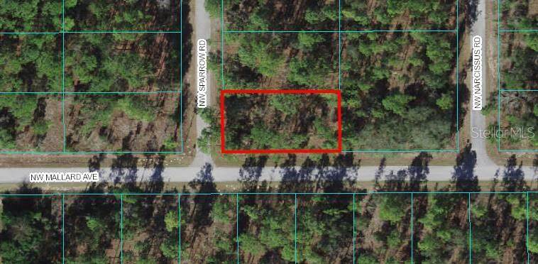 Lot 29 Sparrow Road - Photo 1