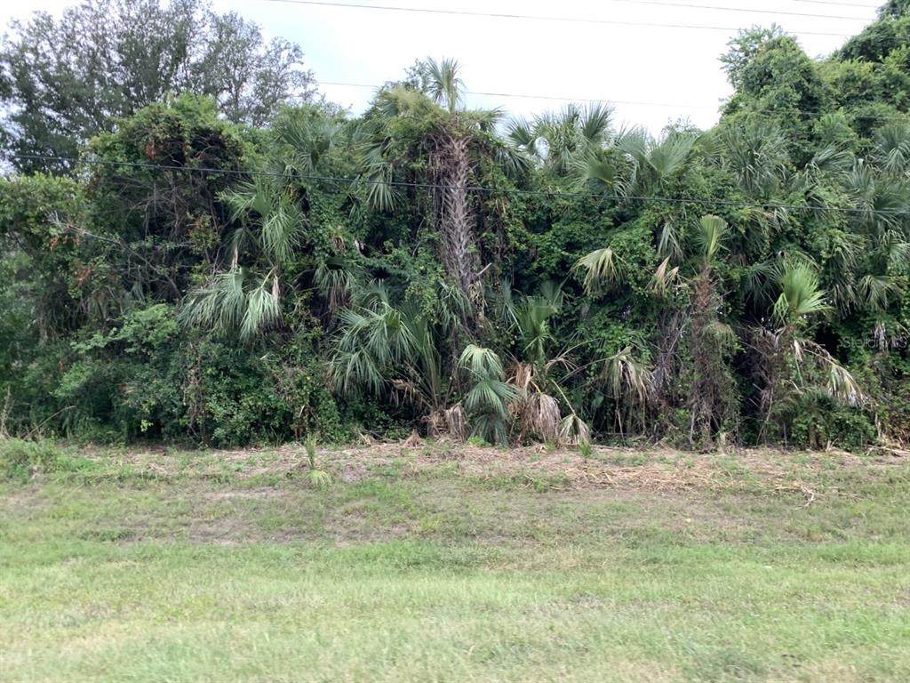 0 Hwy 301 - Photo 1