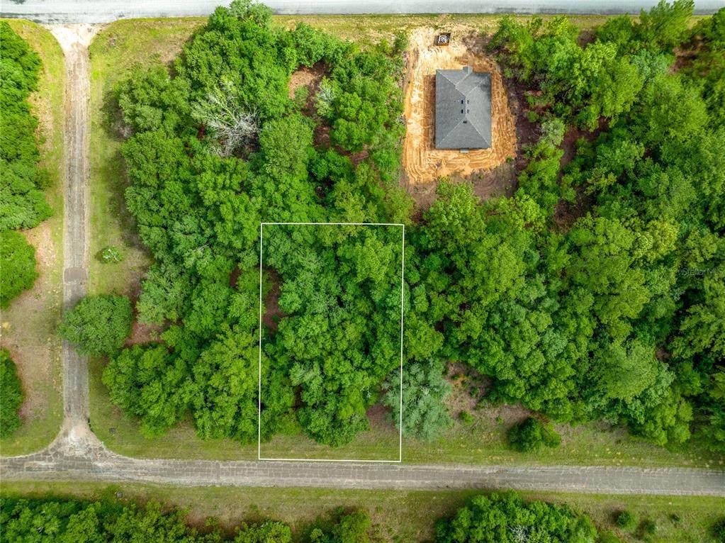 1623 Ivydale Drive - Photo 1
