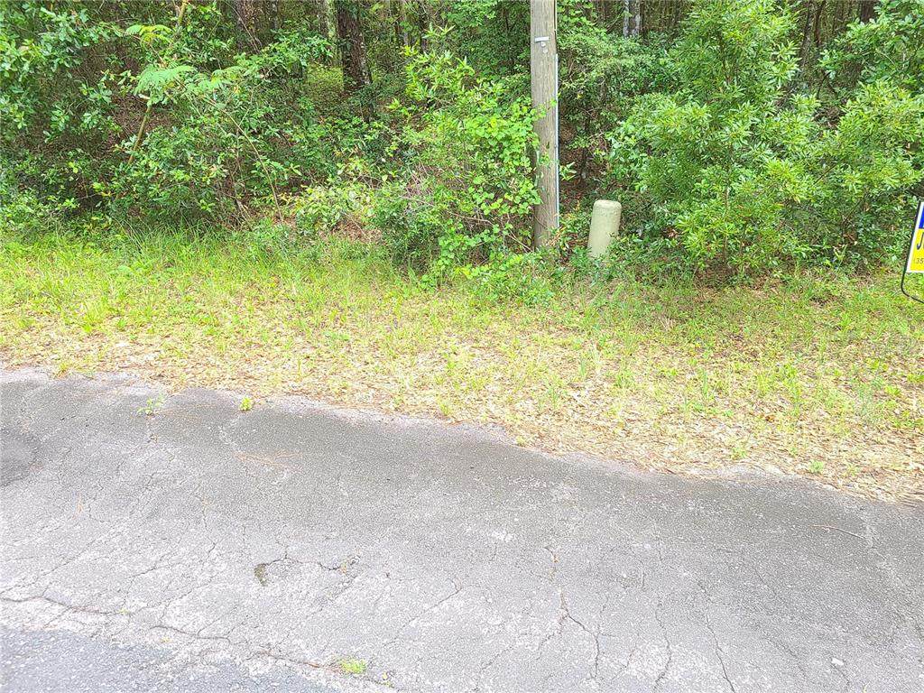 1096 Franconia Lane - Photo 1