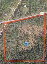 Hwy 316 - Photo 1