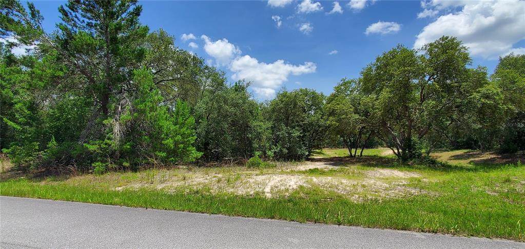 1426 Dolores Drive - Photo 1