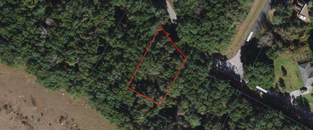 Lot 52 Locust Run - Photo 1