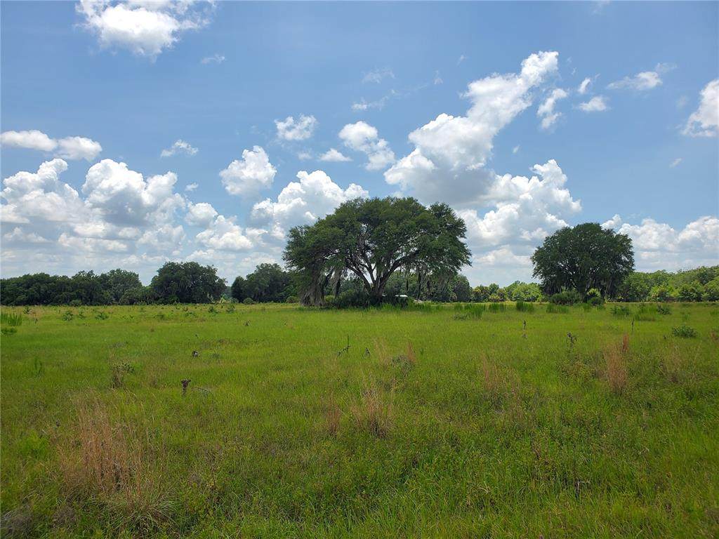 231 Lane - Photo 1