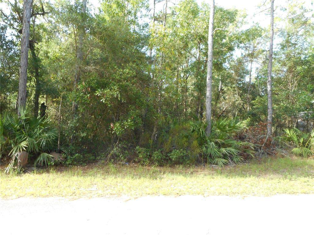 4096 Seminole Lane - Photo 1