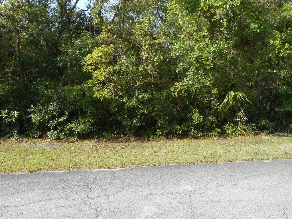 4122 Seminole Lane - Photo 1