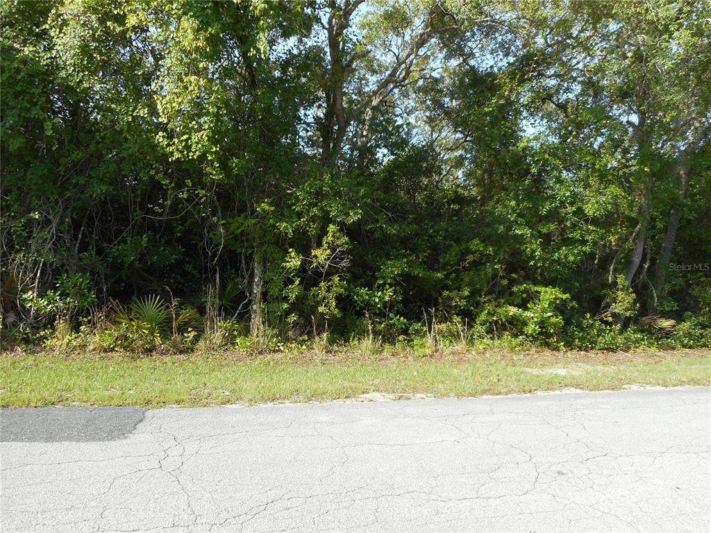4158 Seminolw Lane - Photo 1