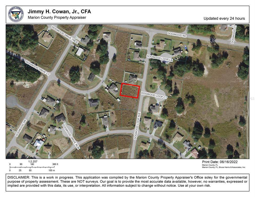 Dogwood Loop Ave - Photo 1