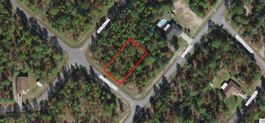 TBD Locust Ln Drive - Photo 1