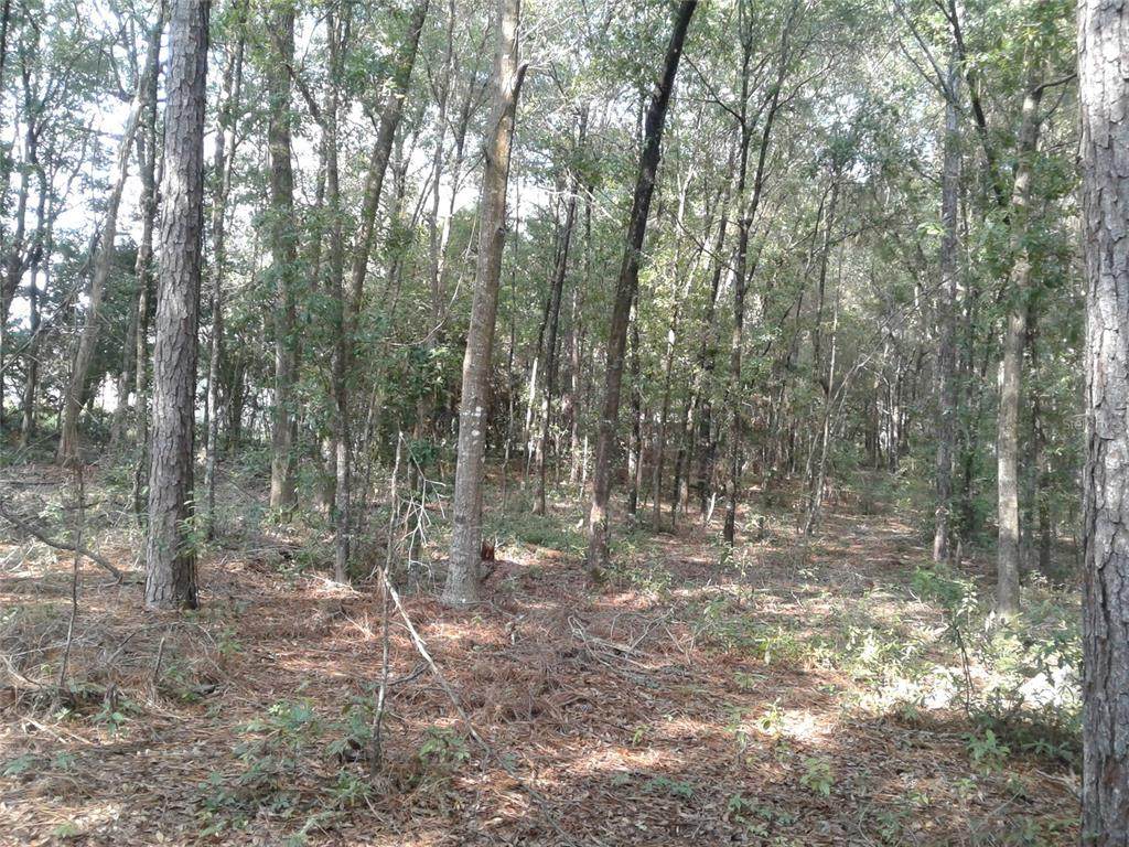 0 97 Place - Photo 1