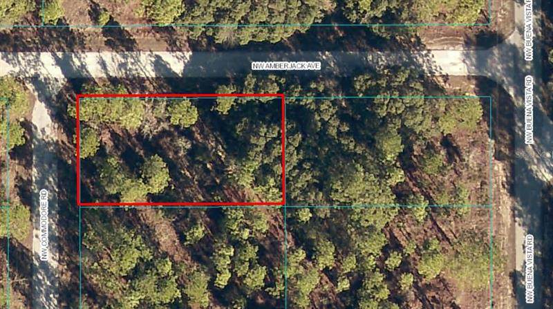 Lot 58 Commodore Road - Photo 1