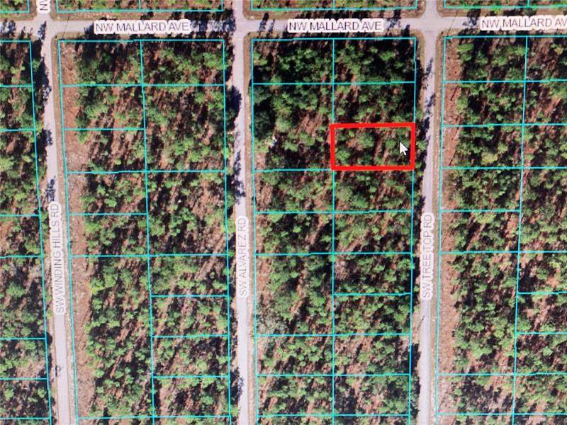 TBA Tree Top Rd - Photo 1