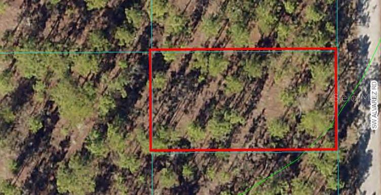 Lot 12 Alvarez Road - Photo 1