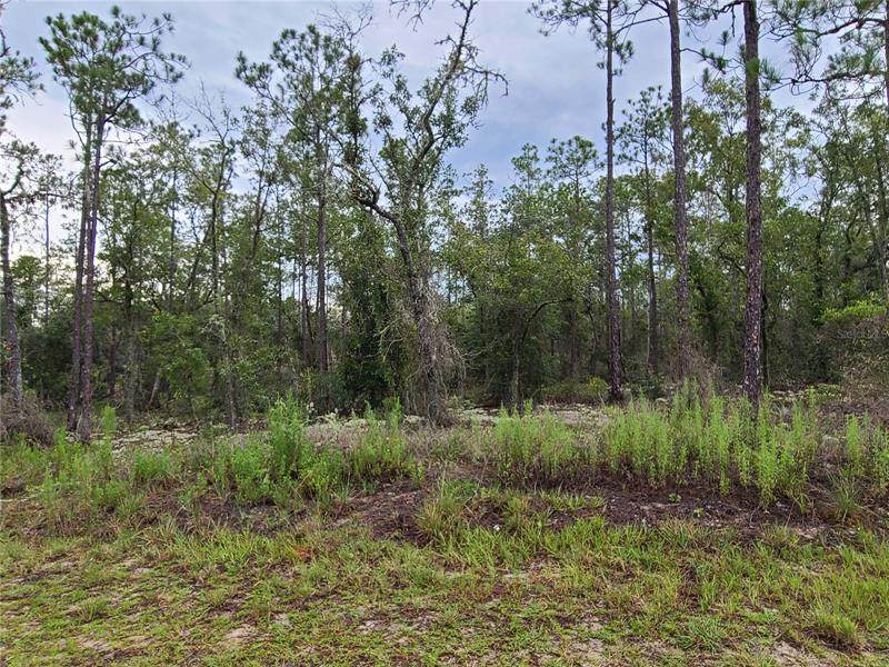 00 Barnacle Drive - Photo 1