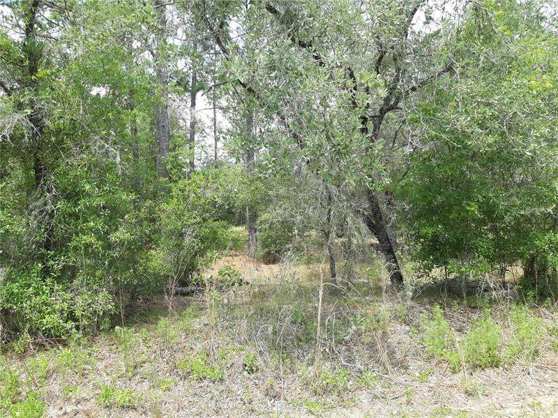 204TH Avenue - Photo 1