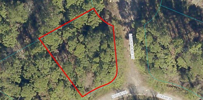 Lot 16 Locust Place - Photo 1