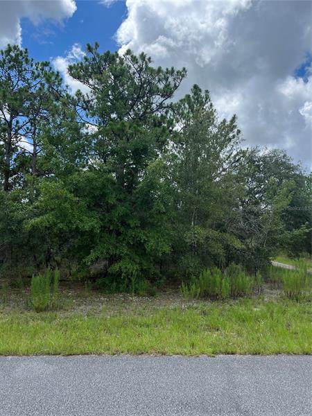 1488 Donner Drive - Photo 1