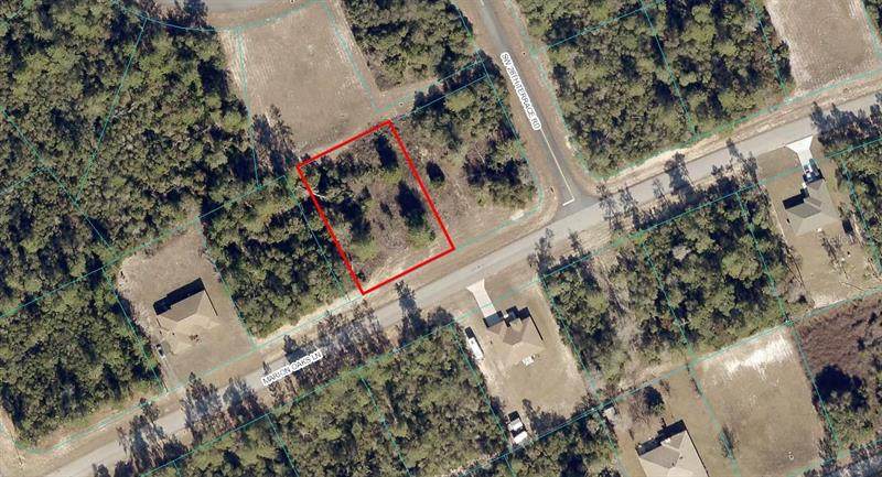 00 Marion Oaks Lane - Photo 1