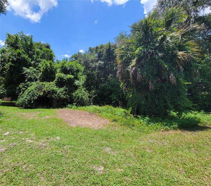 6542 Malverne Street - Photo 1