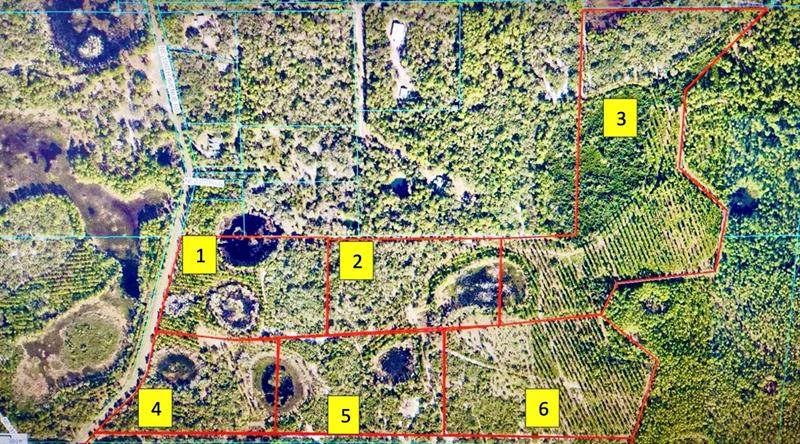 TBD 150TH AVE RD - BLACKBUCK HOLLOW LOT - Photo 1