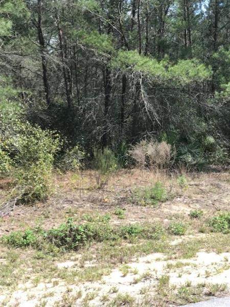 152ND LANE Road - Photo 1