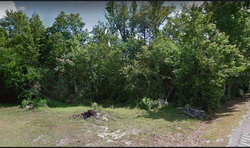 7719 Williams Street - Photo 1