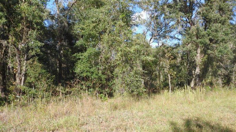 1165 Sexton Road - Photo 1
