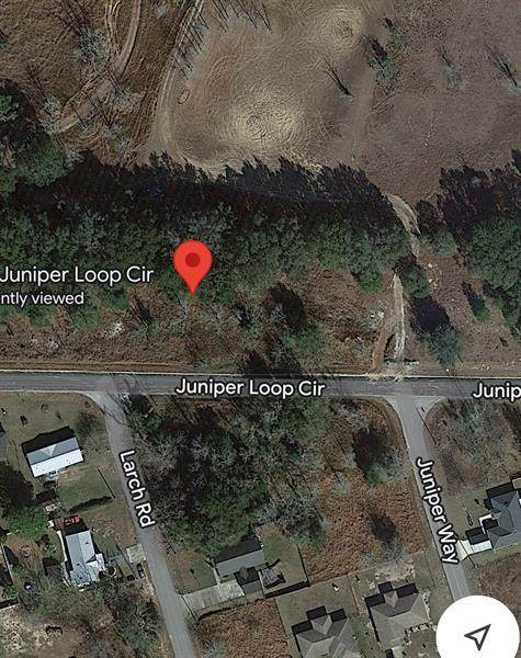 0 Juniper Loop Circle - Photo 1