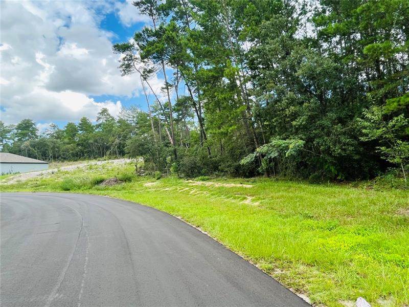 TBD 164TH STREET Road - Photo 1