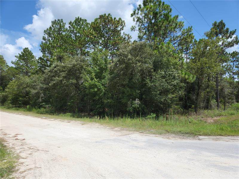 Lot 12 129TH TER Road - Photo 1