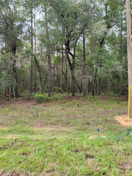 9295 Sherman Drive - Photo 1