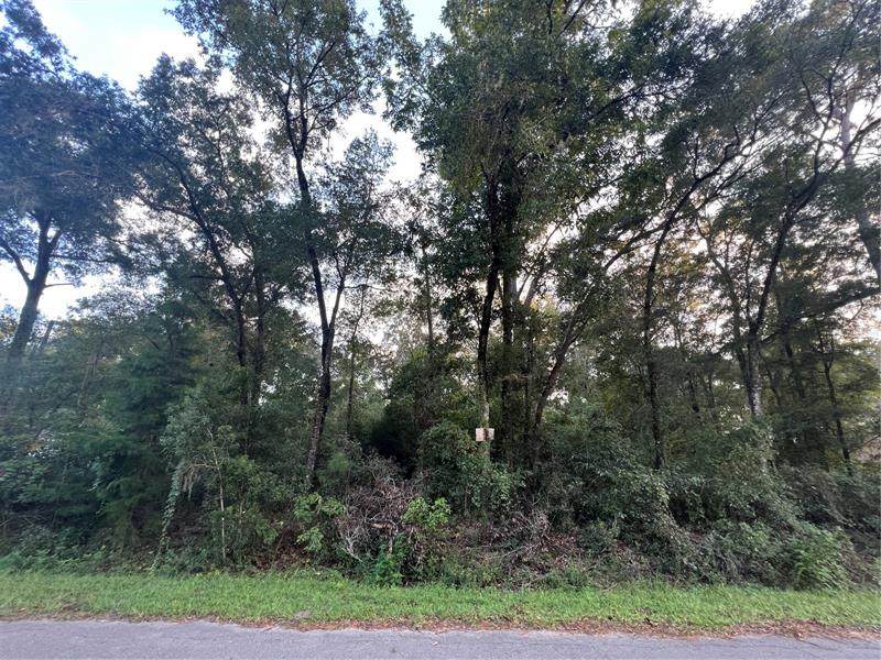Nw 54Th Pl - Photo 1