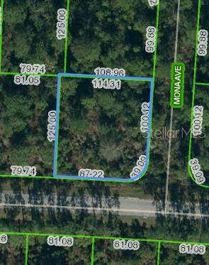 7001 Mona Avenue - Photo 1