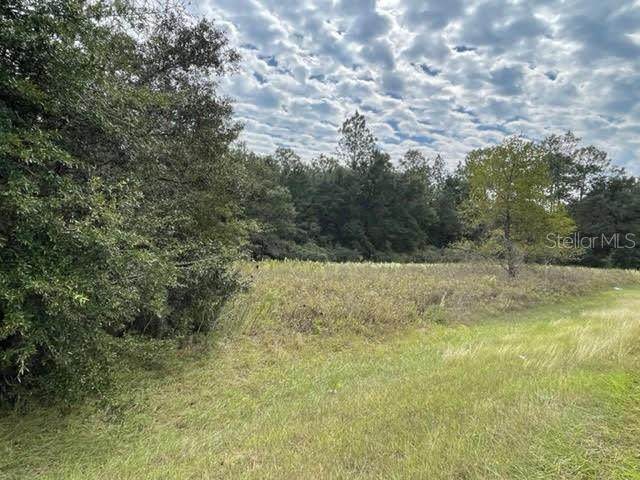 Lot 19 140TH Avenue - Photo 1