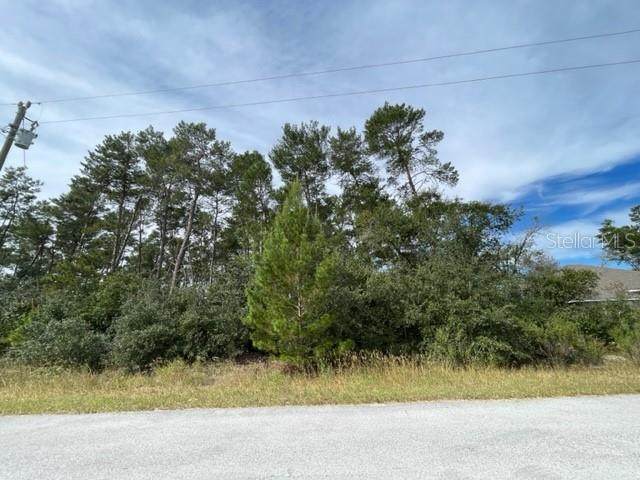 0 41ST TER - Photo 1