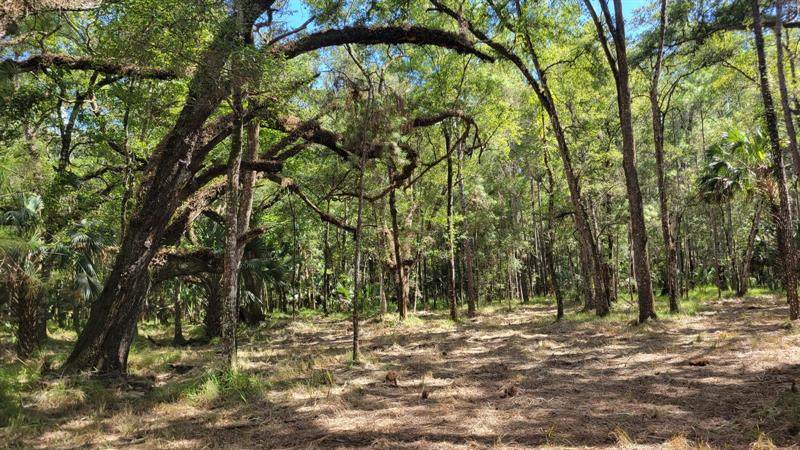 10ac (#2) 90TH ST. RD. - Photo 1
