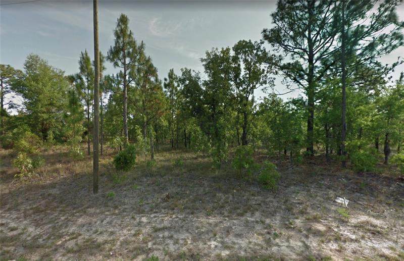 2749 Castle Road - Photo 1