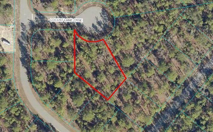 Lot 6 Locust Lane Course - Photo 1