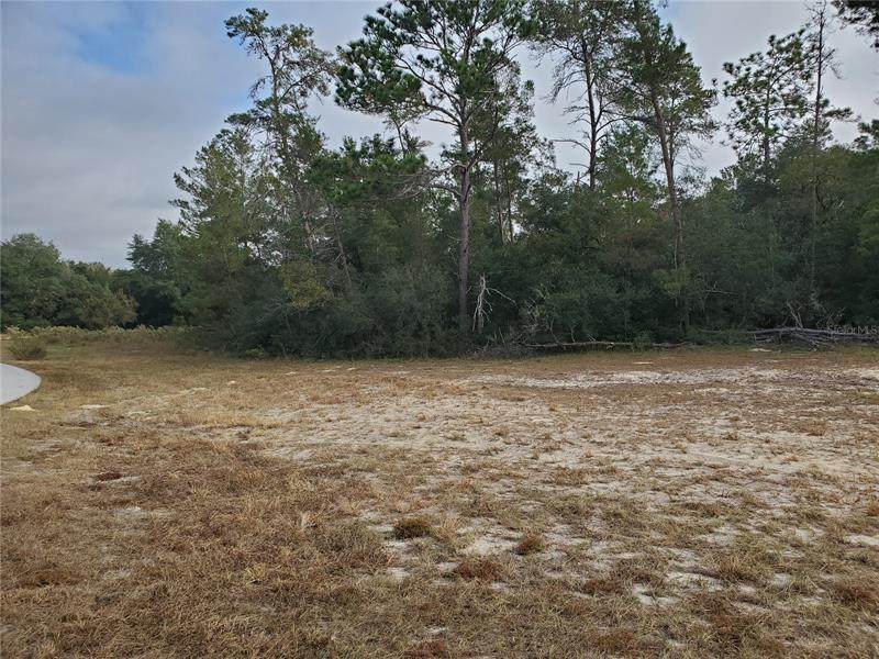 0 Marion Oaks Gulf Way - Photo 1