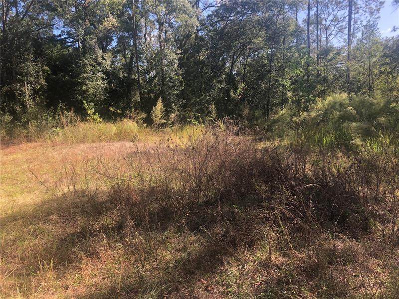 9183 193RD Circle - Photo 1