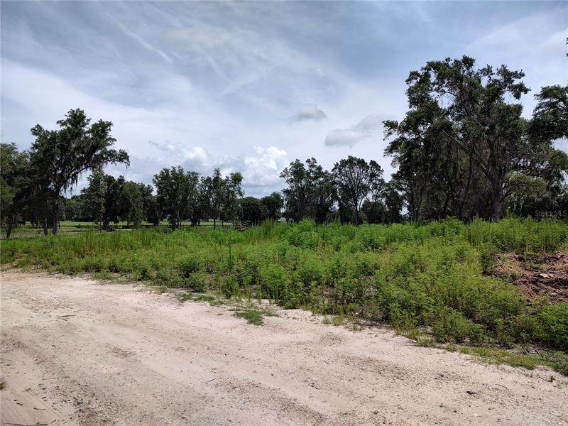 TBD 316 Highway - Photo 1